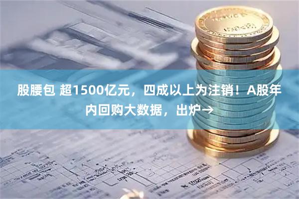 股腰包 超1500亿元，四成以上为注销！A股年内回购大数据，出炉→