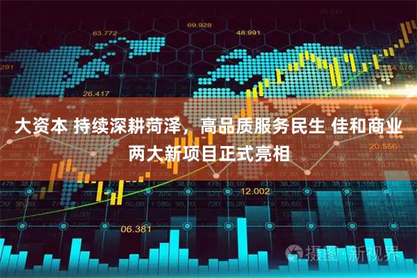 大资本 持续深耕菏泽，高品质服务民生 佳和商业两大新项目正式亮相