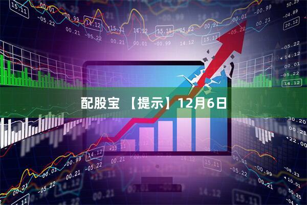 配股宝 【提示】12月6日